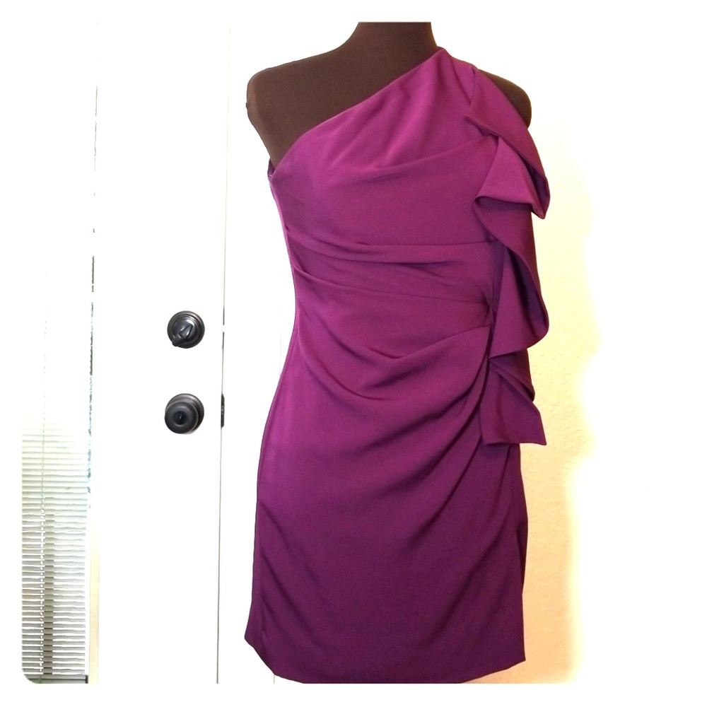 Robert Rodriguez Dress